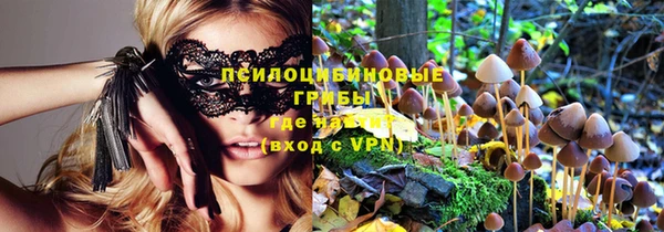 MDMA Premium VHQ Вяземский